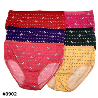 Plus Size Plain Panties 28-42 Underwear For Women | WILLING PH