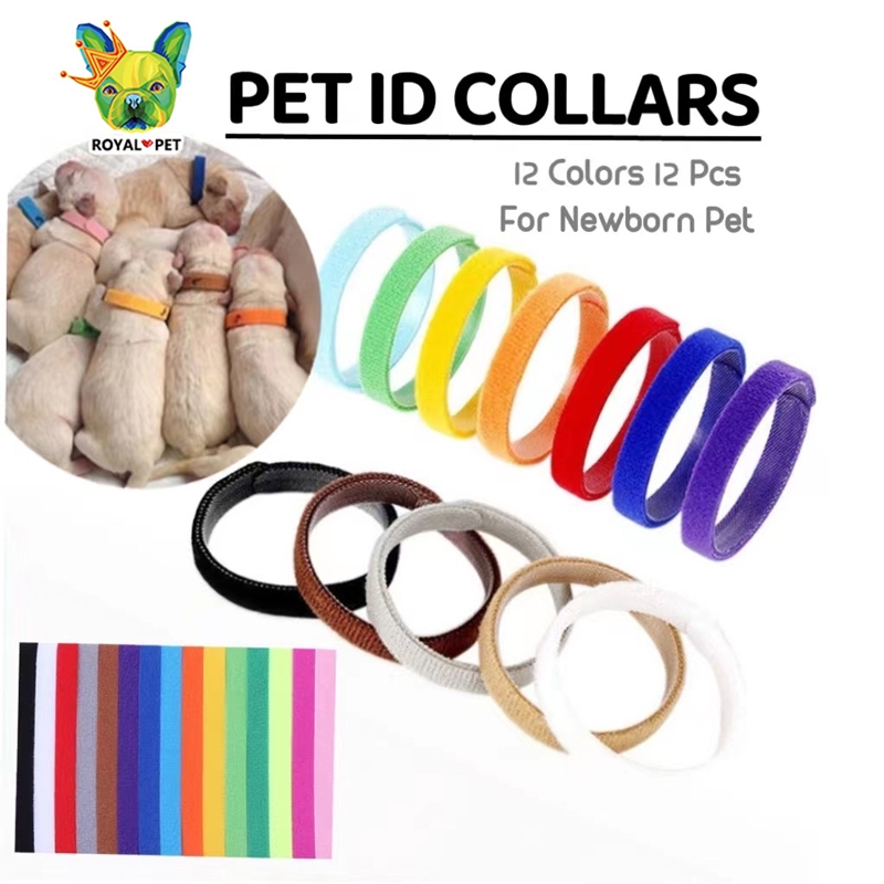 Newborn Pet Identification Ring Puppy Dog Collar Puppy Cat Neck ...
