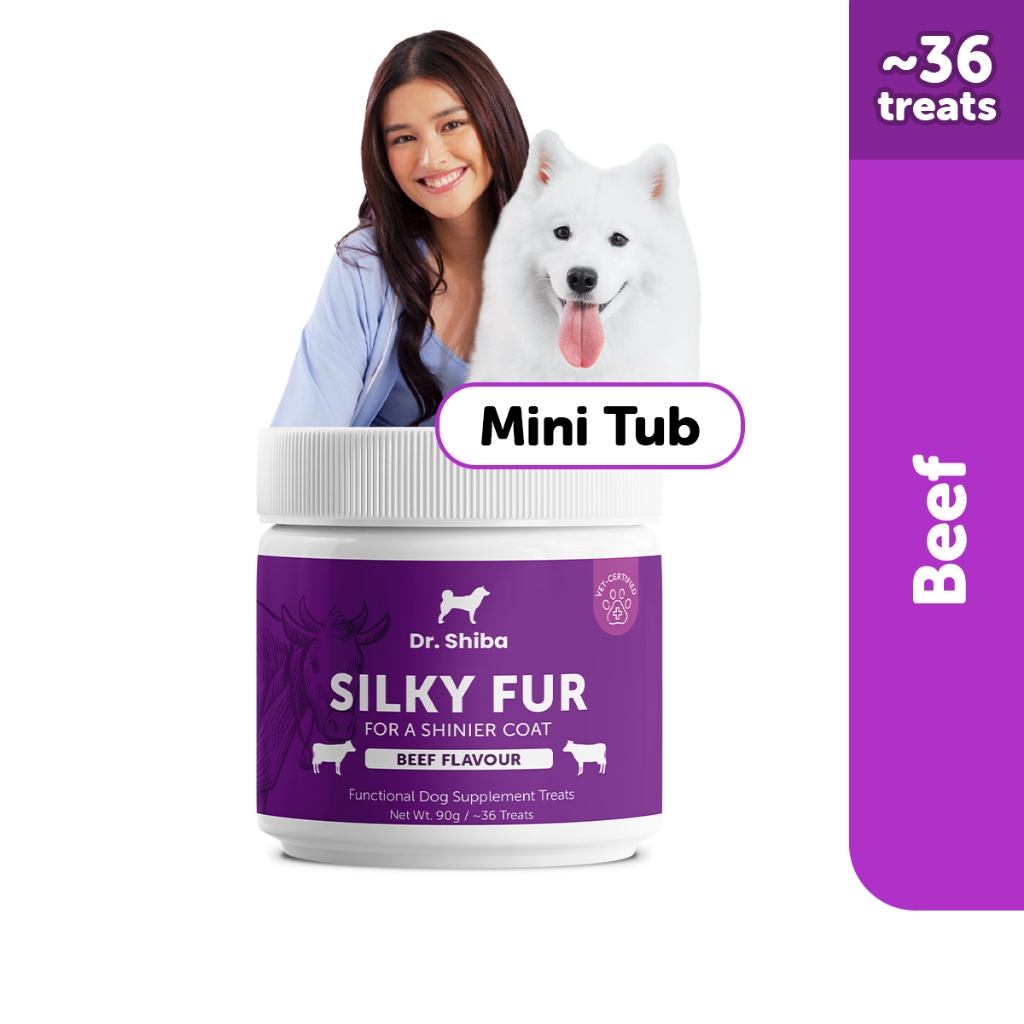 Dr. Shiba Silky Fur Mini Tub Beef 90g Dog Treats Snacks Dog Food