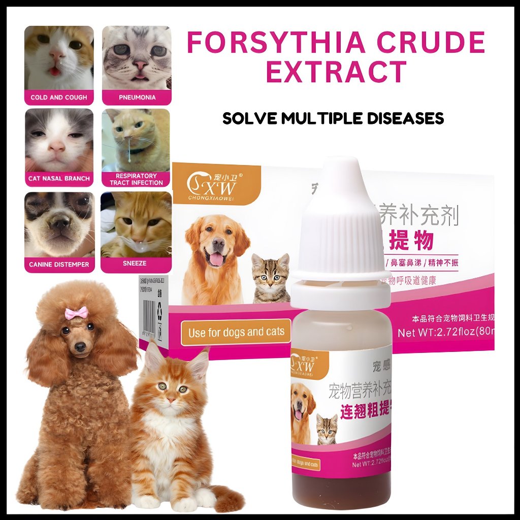 Dog cold medicine best sale
