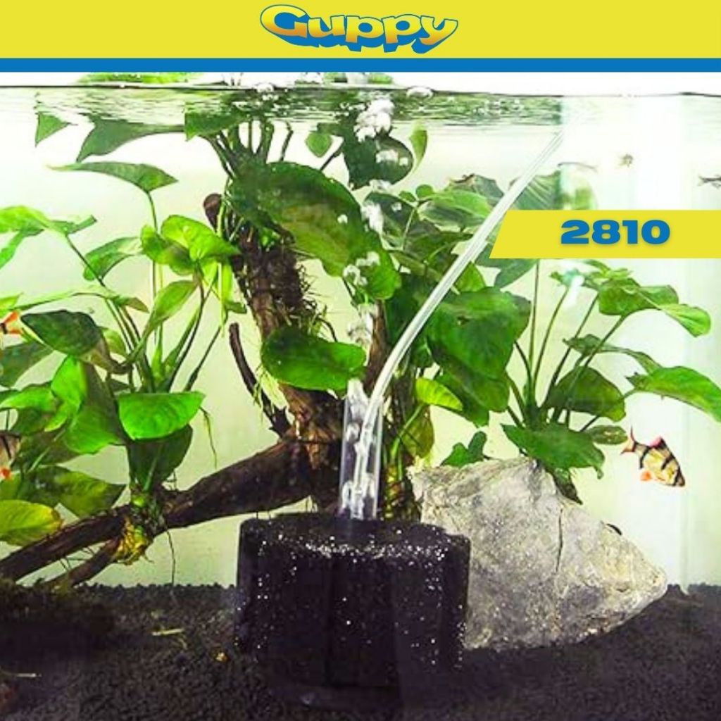 Infinity Bio Sponge Filter XY 2810 8.5x5 cm Aquarium Filtration ...