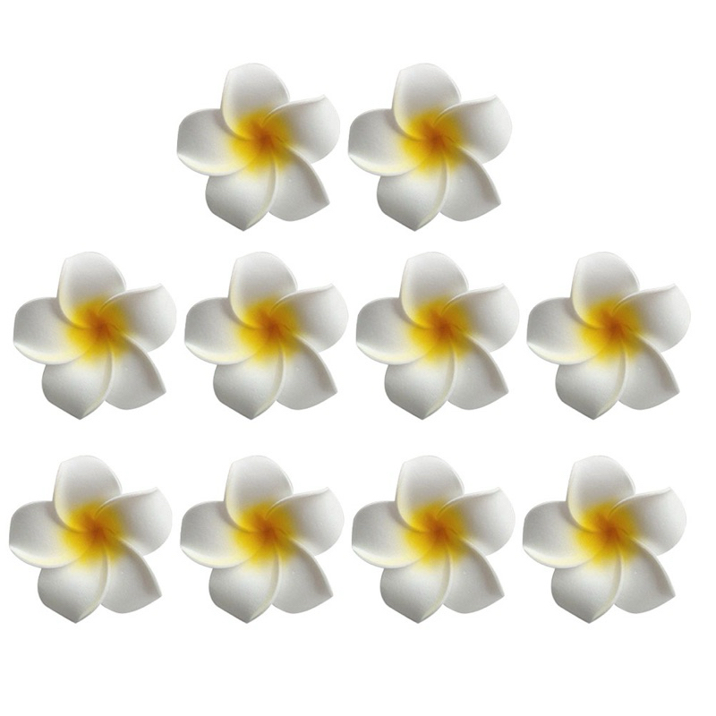 Longsing Hawaii Haarclip Set – 10 Blumenclips Aus Schaumstoff, Plumeria-Motiv, 10 Farben