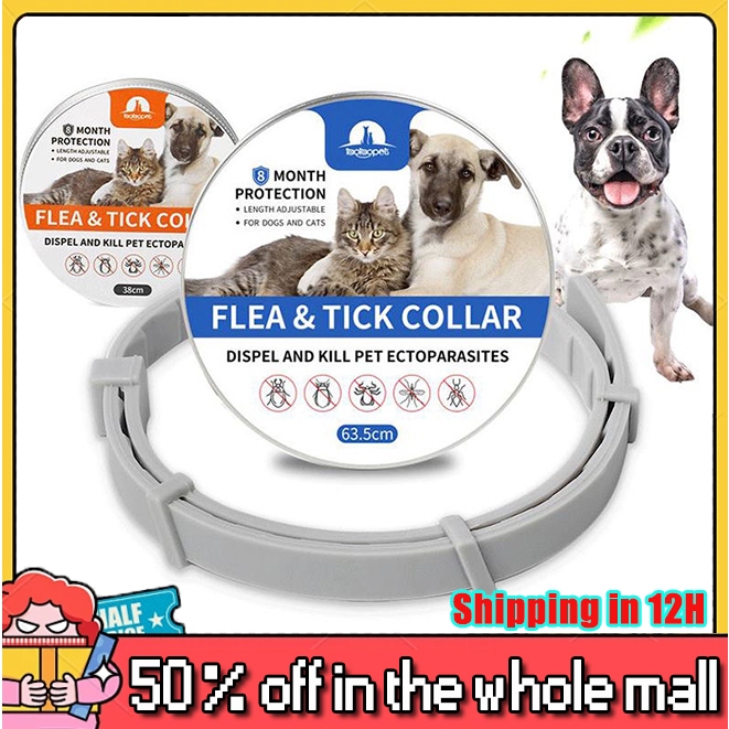 Pet flea collar 8 Months Lasting Protection Anti Insect Flea Tick ...