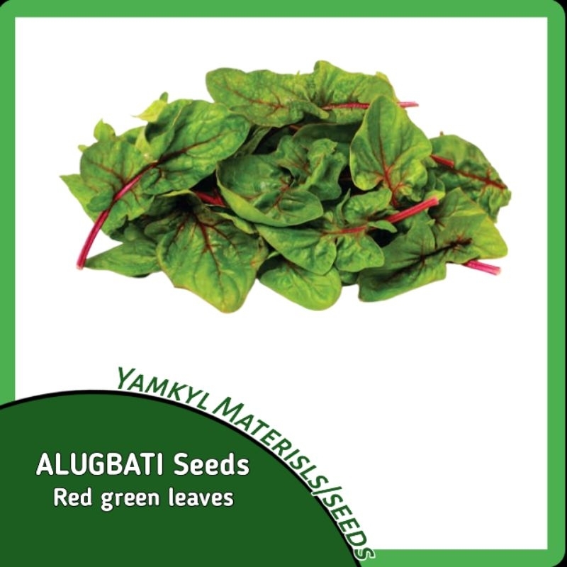 ALUGBATI Seeds (Red leaves) | Shopee Philippines