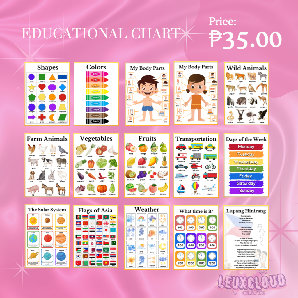 24PCS A4 Laminated Educational Charts for ABC, Colors, Numbers, Shapes ...