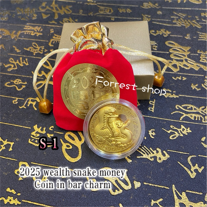 2025 wealth lucky coin gold foil new year gift | Shopee Philippines