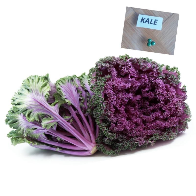 Kale Purple Seeds (3Pcs/Pack) | Shopee Philippines