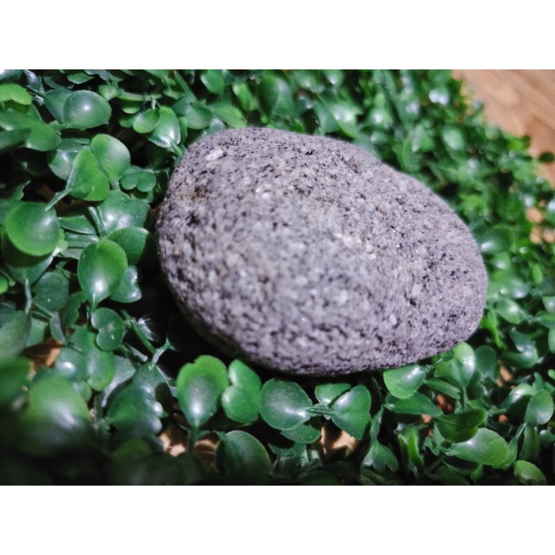 Shop batong for Sale on Shopee Philippines