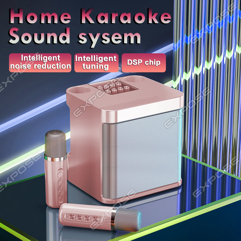 Wireless Bluetooth Karaoke Speaker With Dual Wireless Microphone 3D ...