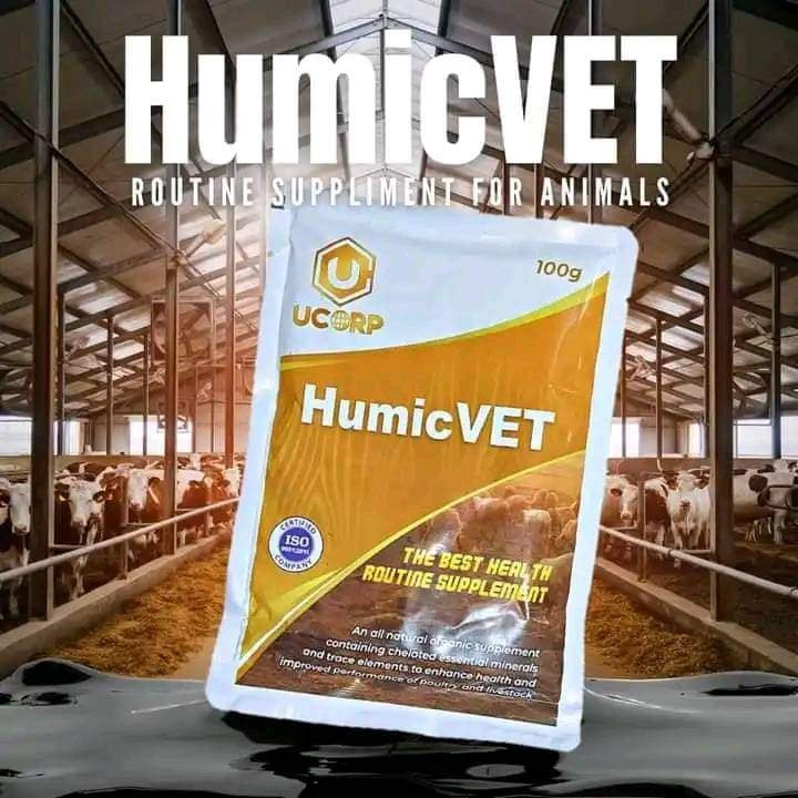 KCH Original HumicVet 100grams Organic Supplements for Animals 1 Sachet ...