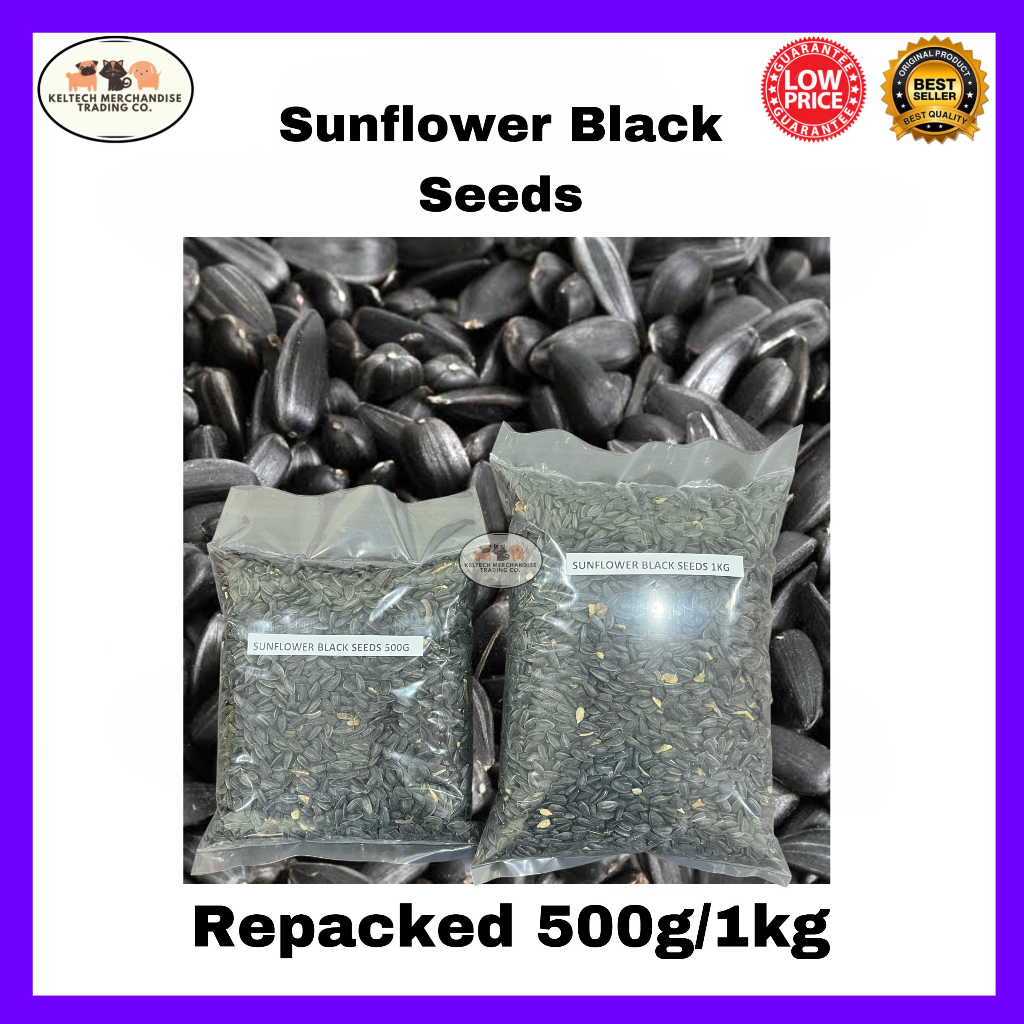 Black Oil Sunflower Seeds Black Sunflower Seeds for Birds and Small ...