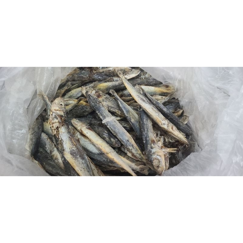 Galunggong Dried Fish 250g (Palawan) Shopee Philippines
