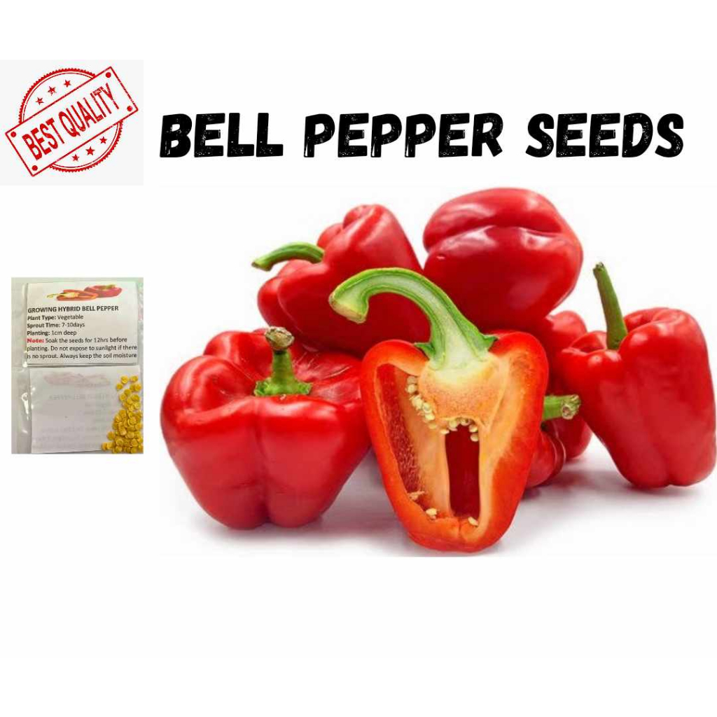 Bell Pepper Seeds HYBRID F1 40pcs Seeds (1pack) Shopee Philippines