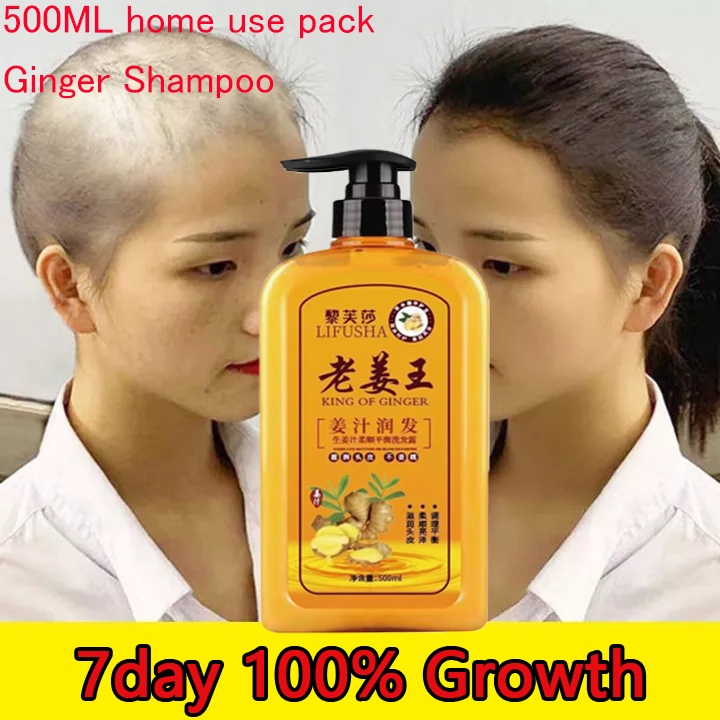 500ml Ginger Hair Shampoo Fast Regrowth Hair Thick Anti Hair Loss Anti