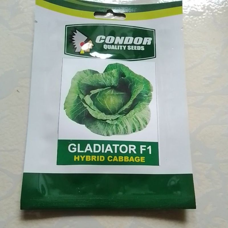GLADIATOR F1 HYBRID CABBAGE(1GRAMS)CONDOR SEEDS | Shopee Philippines