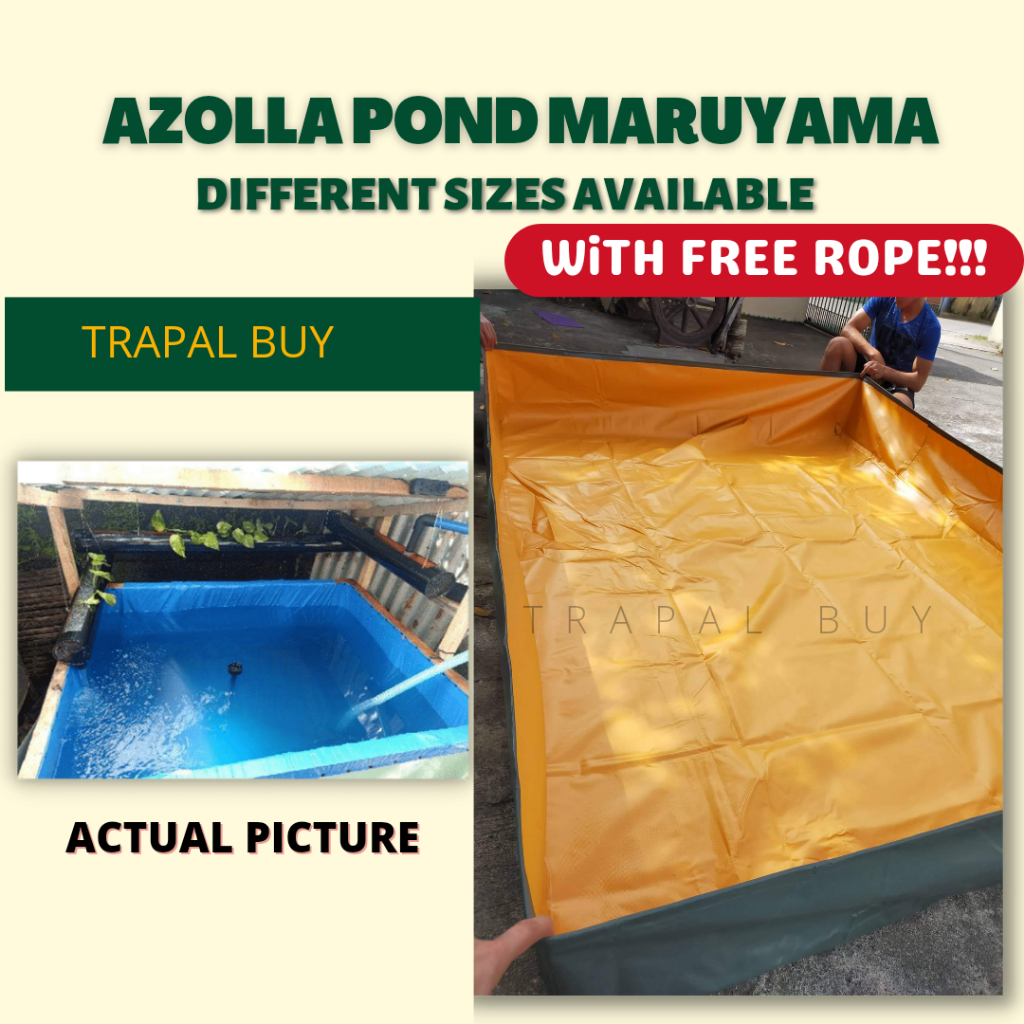 6ft x 10ft x 3ft AZOLLA POND / CRAYFISH POND MARUYAMA PG FLEX FISH TANK ...