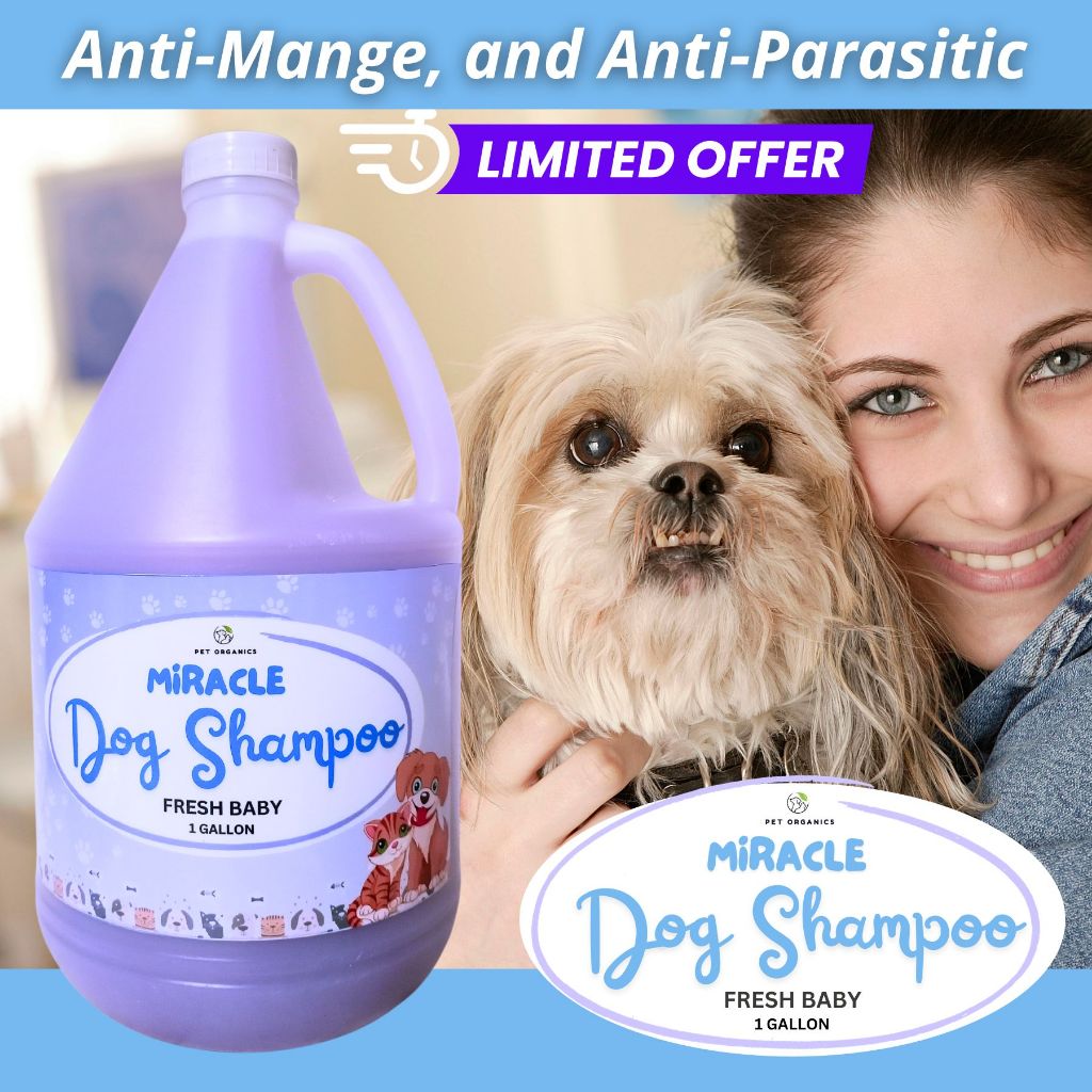FRESH BABY Miracle Dog Shampoo 1 Gallon of 100 Natural Hypoallergenic