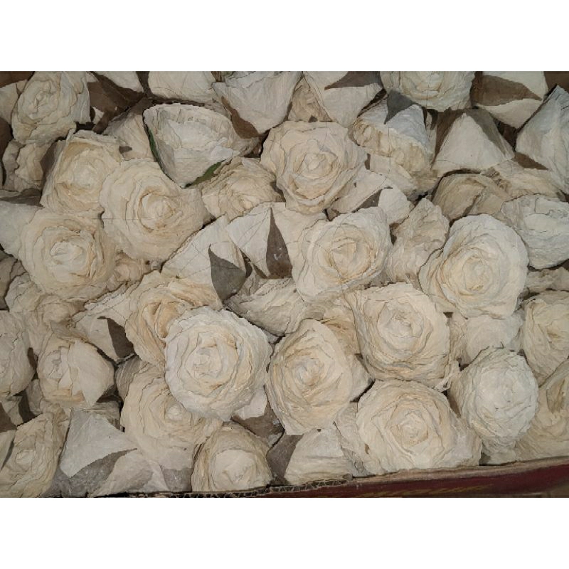 Ivory Dried fossilized flower - Made to Order | Shopee Philippines