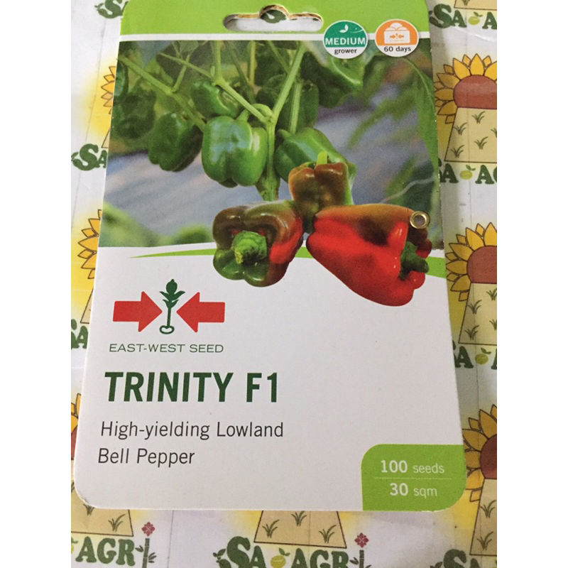 Trinity F1 Hybrid Bell Pepper Seeds (100 seeds) | Shopee Philippines