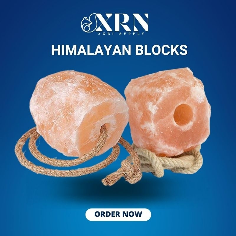 Himalayan Mineral Block Salt Licks 1kg 2kg Shopee Philippines