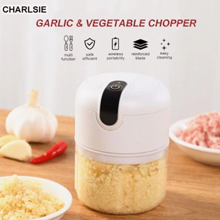 Food Chopper Manual, Onion Garlic Vegetable Chopper Easy to Clean, Hand Nut  Chopper for Vegetable, Fruit, Salad, etc - 2.5 Cup