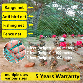 chicken net - Best Prices and Online Promos - Jan 2024