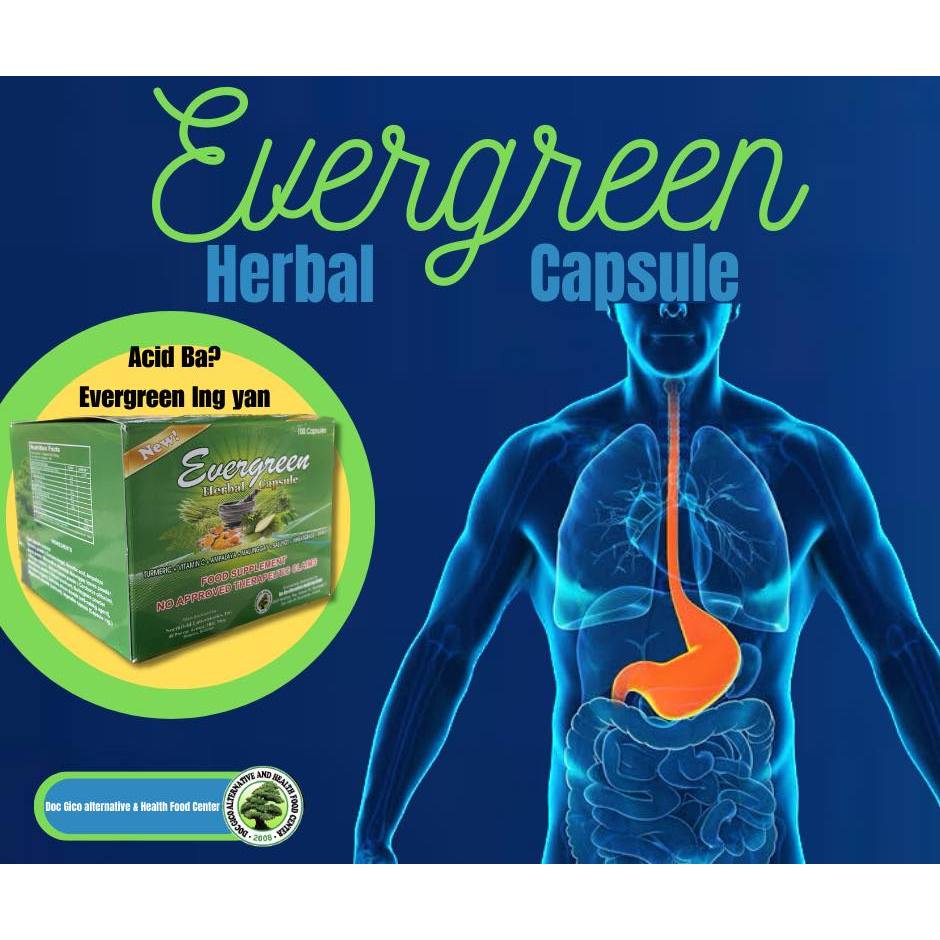 Evergreen Herbal Capsule 1 Box (100 Capsule) Shopee Philippines