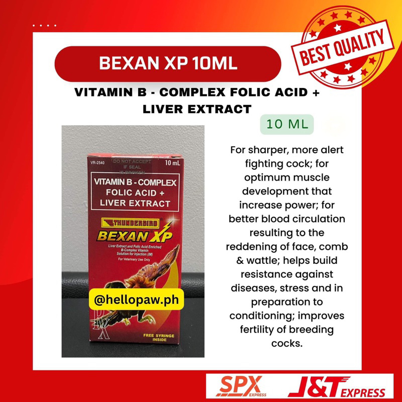 Bexan XP 10ml (ACTUAL PHOTO) | Shopee Philippines