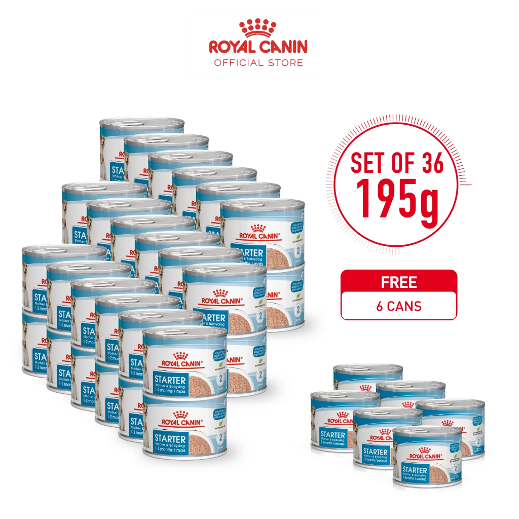 Royal Canin Starter Mousse Mother & Babydog (195g x 36 cans) Wet Food ...