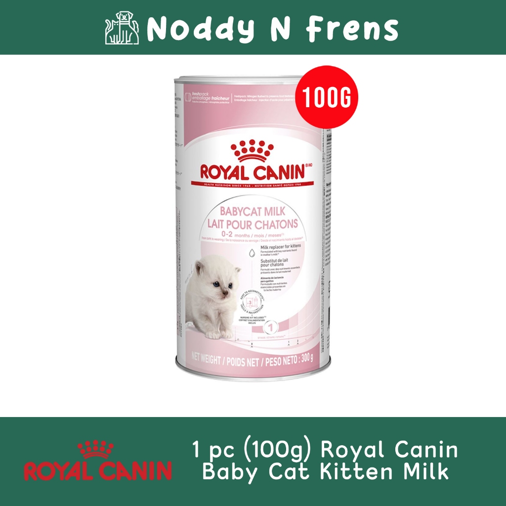 Kitten milk royal canin best sale