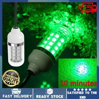 LED Under water light for fishing 100W Green Underwater Fish