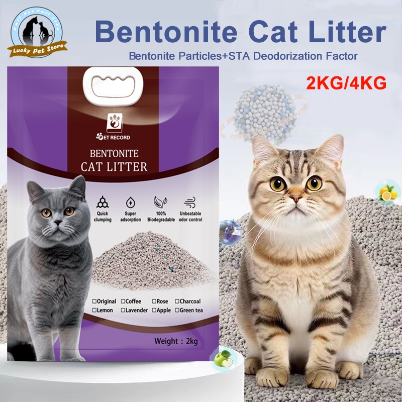 【4KG/10L】 Bentonite cat litter Cat Litter Sand deodorized cat litter 8 ...