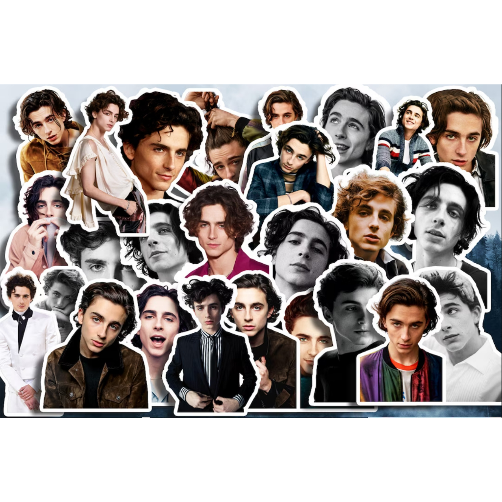 50pcs Timothy Chalamet Sticker Pack | Shopee Philippines