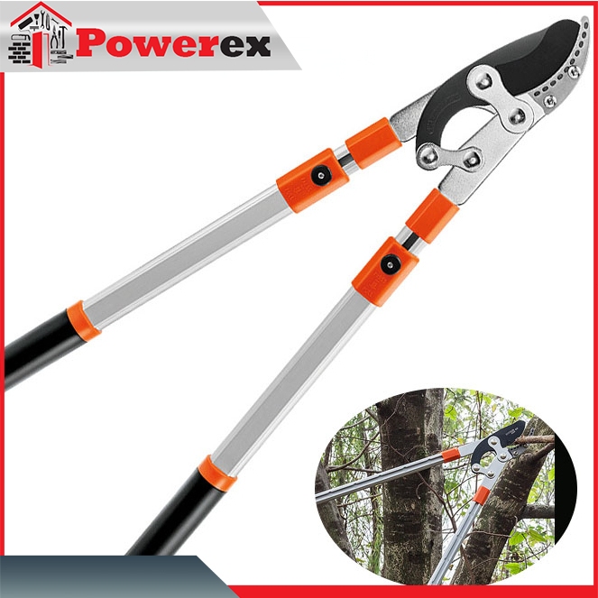 Muti-fuction Heavy Duty Garden Retractable Scissors Garden Tree Branch ...