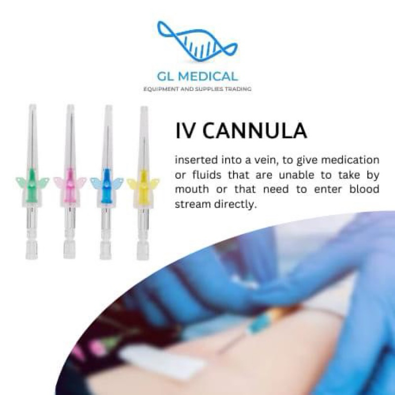 IV Cannula Introcan Bbraun sold per pc | Shopee Philippines