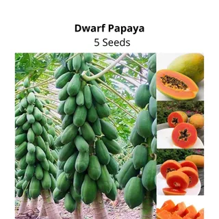 Heidy's Shop, Online Shop | Shopee Philippines