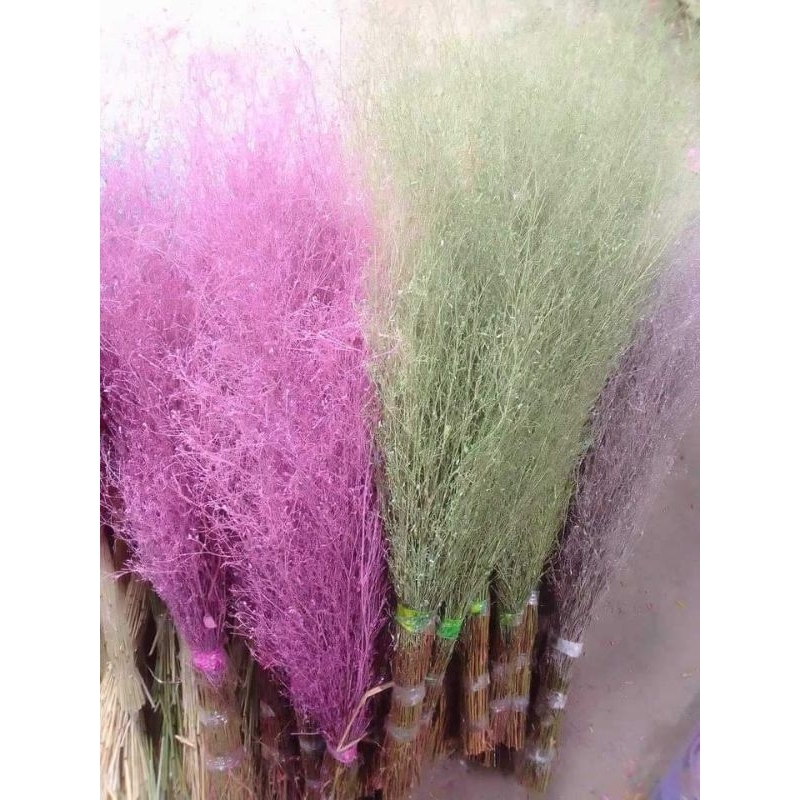 Dried Local Misty per bundle | Shopee Philippines