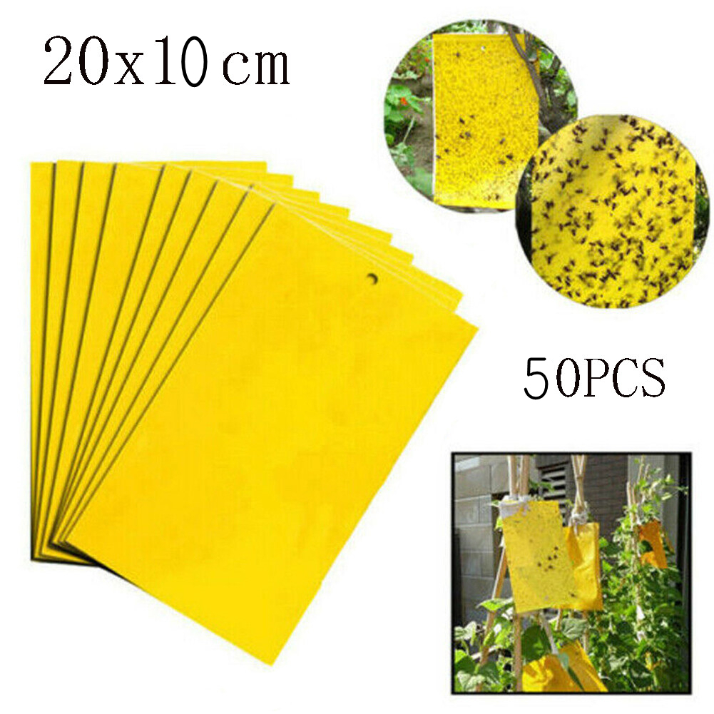 100pcs Strong Flies Traps Bugs Sticky Board Yellow DoubleSided Sticky ...