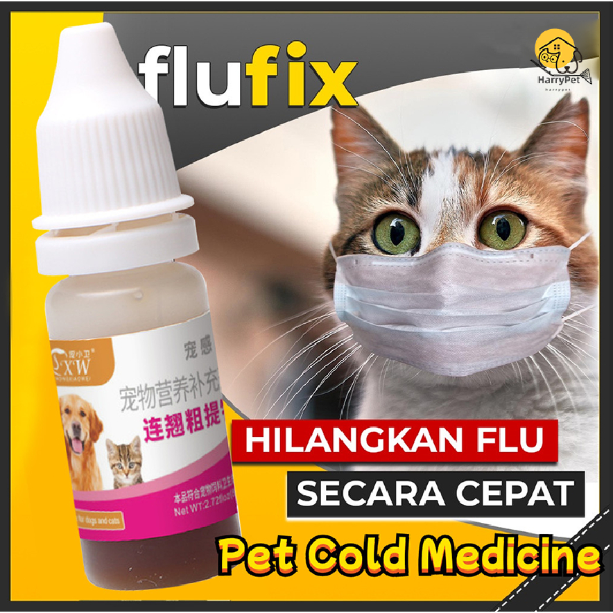 Pet Medicine For Colds And Cough Dog Cat Cold Cough Medicine Heal Fever Flu Cough Runny Nose