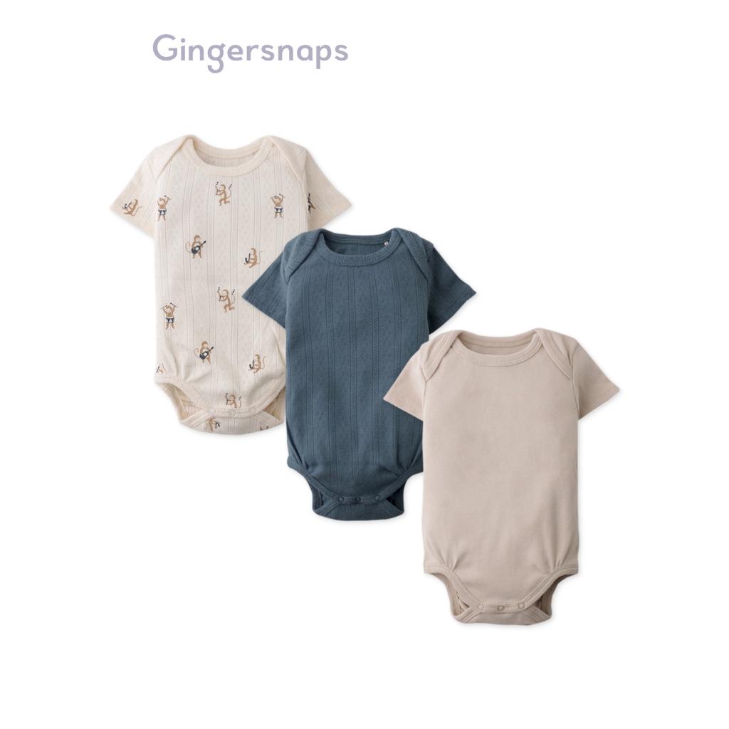 Gingersnaps 3 Pc Onesies Set Shopee Philippines
