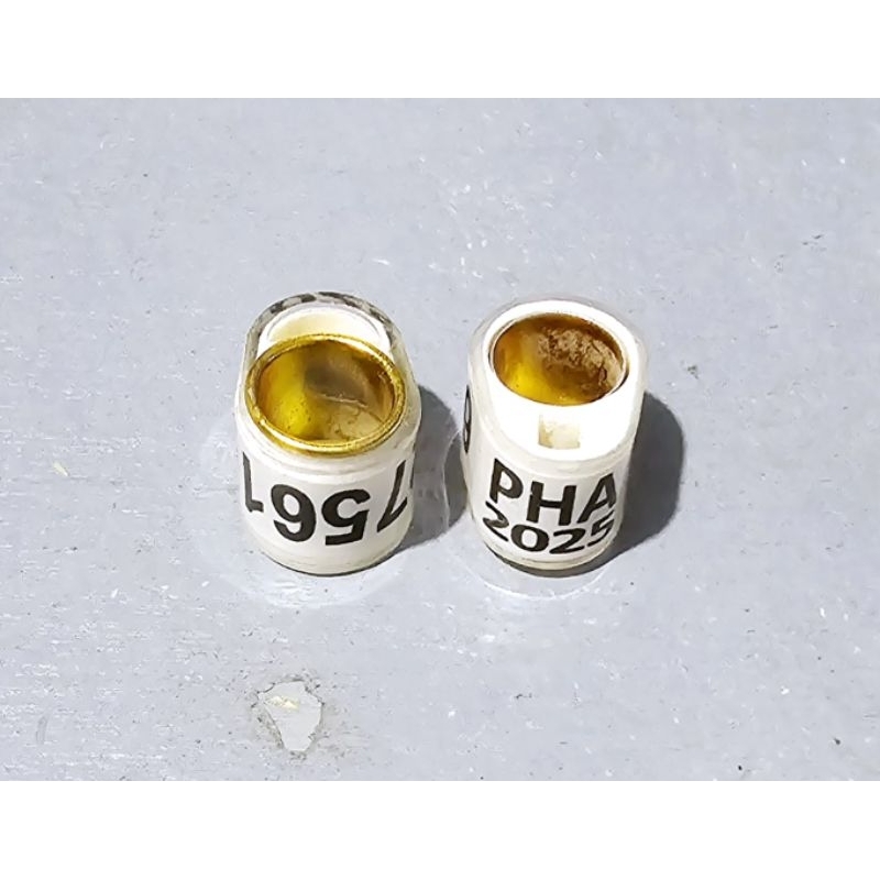 10pcs for 190pesos Comring pha oval with inner ring 2024, 2025 & 2026 ...