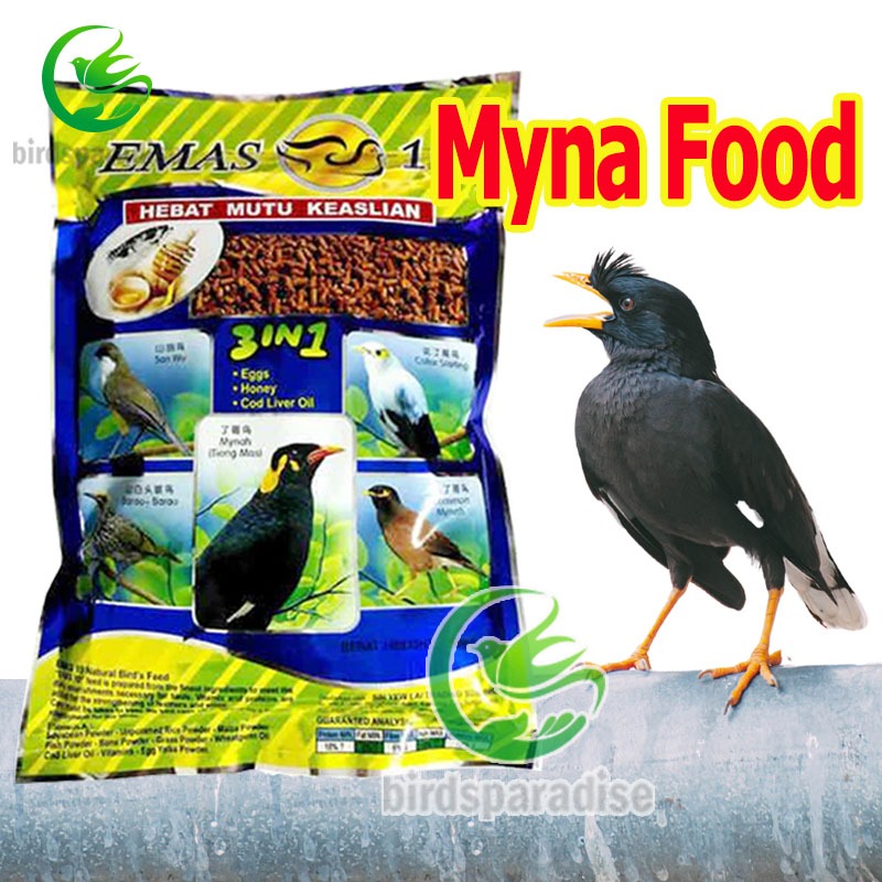 Smartheart Mynah Bird food promote digestion and shiny feather plugme ...