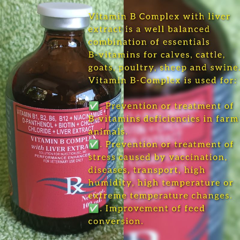 VITAMINS B-COMPLEX+ Liver extract injectable 100ml | Shopee Philippines