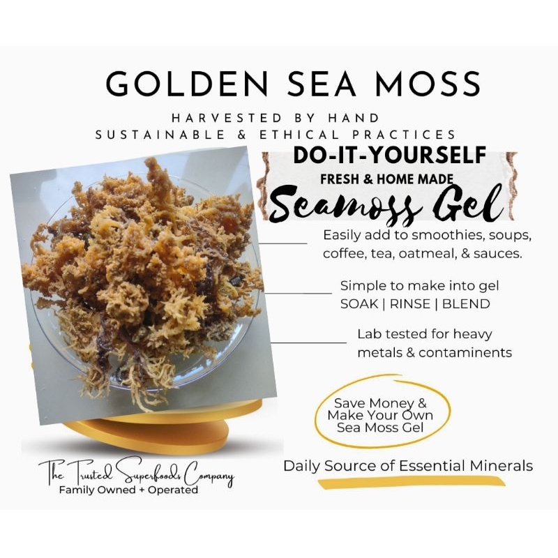 Sea moss Premium Class Wildcrafted/Dr. Sebi/Medicinal/92 minerals/Collagen/DIY SEA MOSS GEL/Keto
