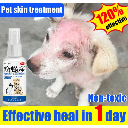 Pet Anti Fungal Spray 100ML Pet Skin Treatment Spray Galis Ng Aso Gamot ...