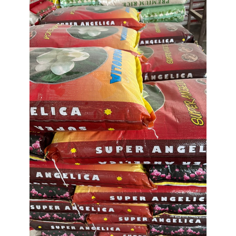 MAGNOLIA SUPER ANGELICA RICE 25KG (PREMIUM QUALITY RICE) | Shopee ...