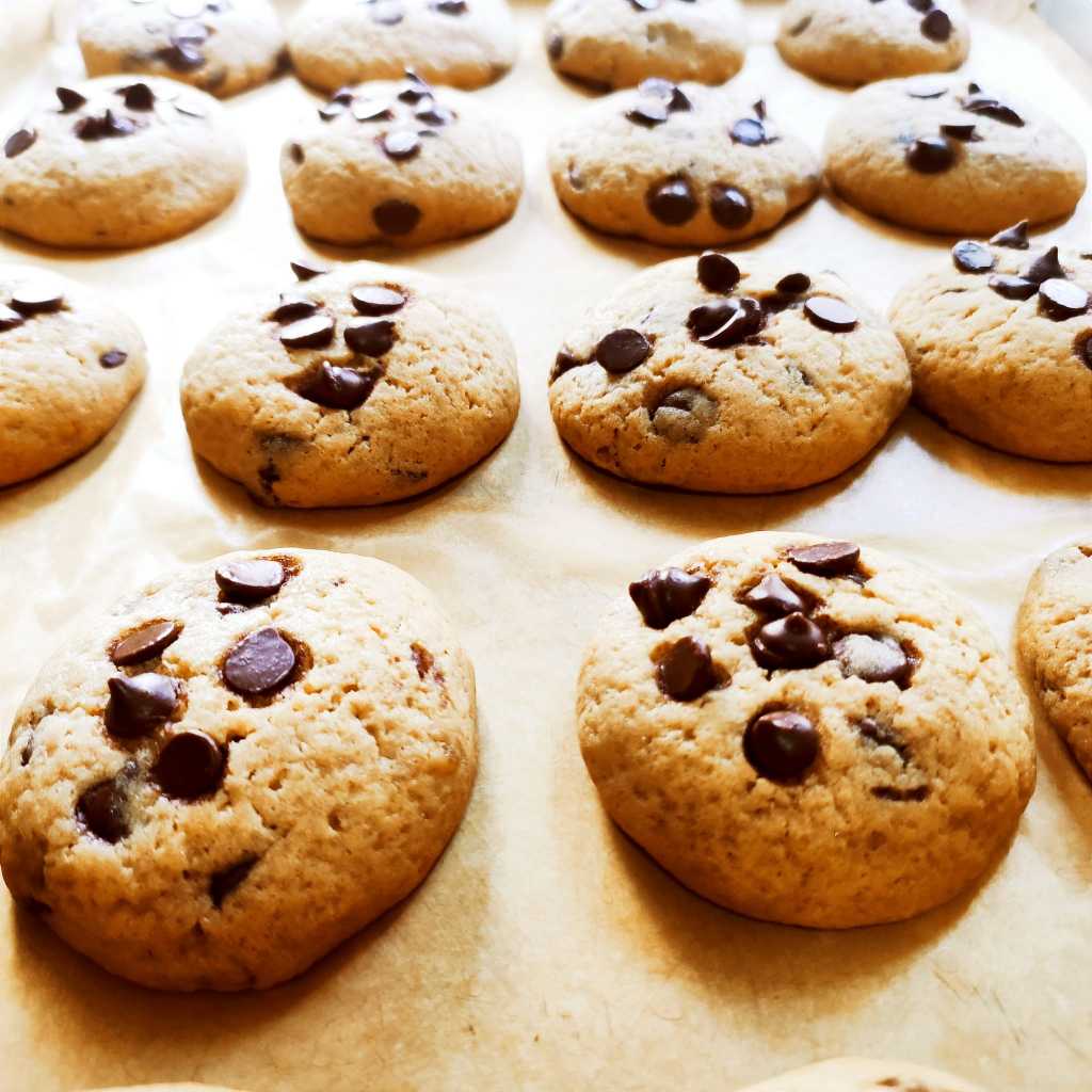 Yummie Nummy Classic Chocolate Chip Cookies (21pcs) | Shopee Philippines