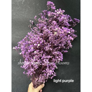 Shop baby's breath for Sale on Shopee Philippines