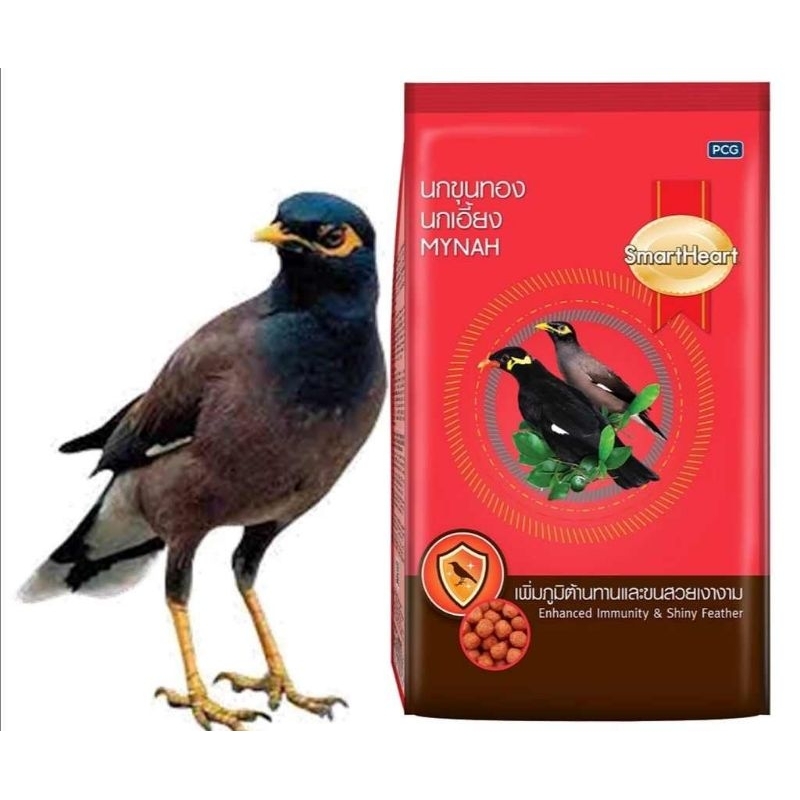 SmartHeart Mynah bird food 1k 400g | Shopee Philippines