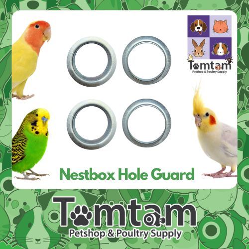 Parrot Lovebirds Nestbox Hole Guard for Bird House Wood Protection ...
